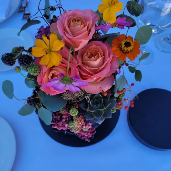 Image hover effect image