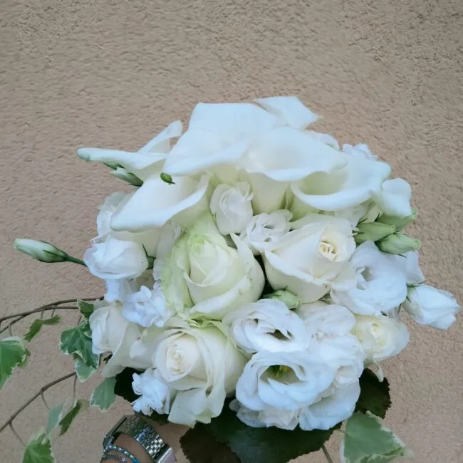 Image hover effect image